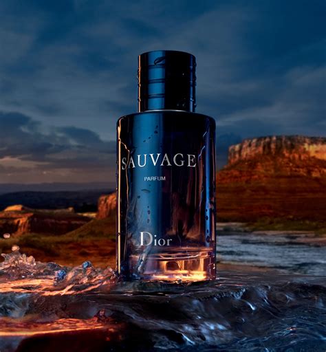 best dior savage|Dior Sauvage best price uk.